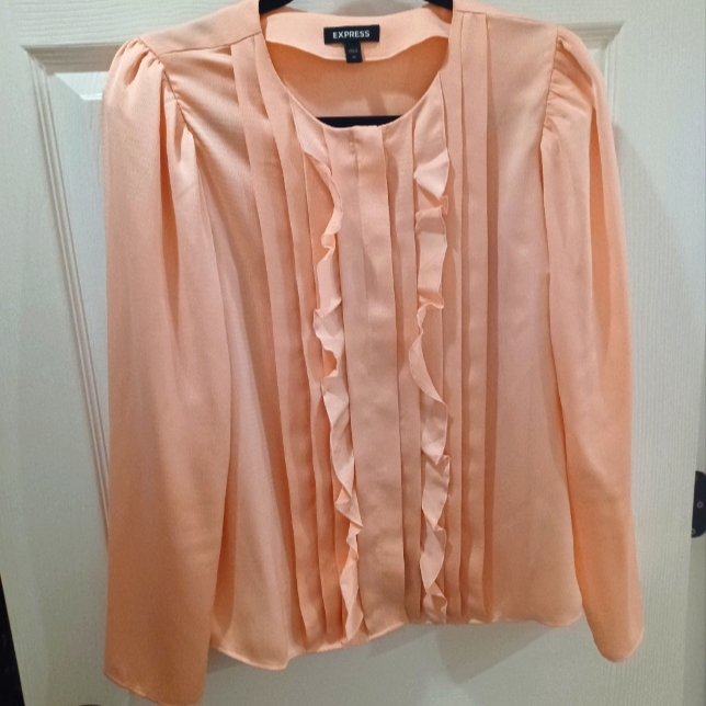 Express Button-Down Blouse